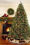 PreLit Christmas Trees, Wreaths and Garland