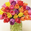 Mother's Day Tulips