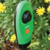 Time Lapse Garden Video Camera