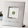 Lucky Four Leaf Clover