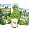 Irish Shamrock Garden